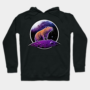 Explorer Capybara Hoodie